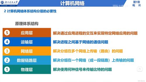 計算機網絡與互聯網信息服務 從基礎概念到體系結構解析